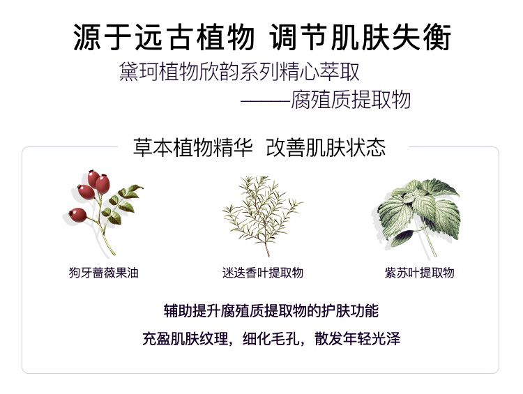 COSME DECORTE黛珂 植物韵律沁莹化妆水  200ml